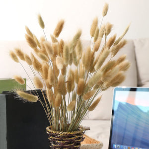 Natural Dried Pampas Grass Bouquet