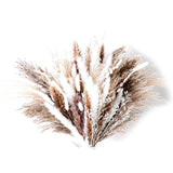 Natural Dried Pampas Grass Bouquet