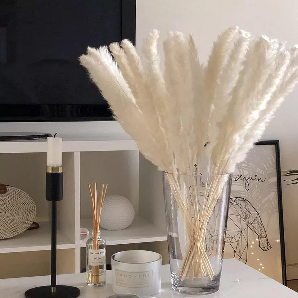 Natural Dried Pampas Grass Bouquet