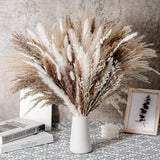 Natural Dried Pampas Grass Bouquet