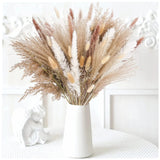 Natural Dried Pampas Grass Bouquet