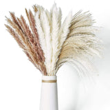 Natural Dried Pampas Grass Bouquet