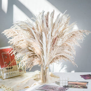 Natural Dried Pampas Grass Bouquet